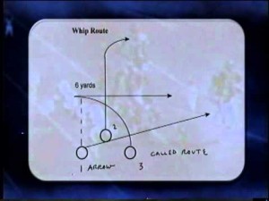 bunch diagram
